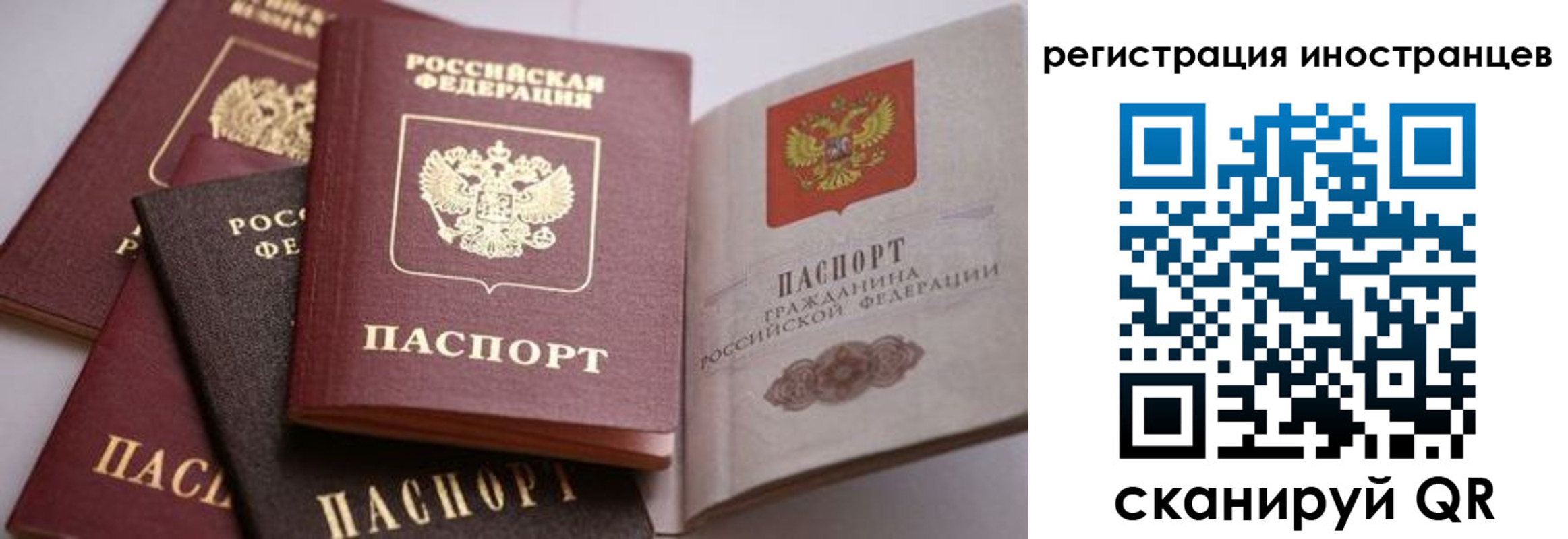 прописка штамп в Волчанске